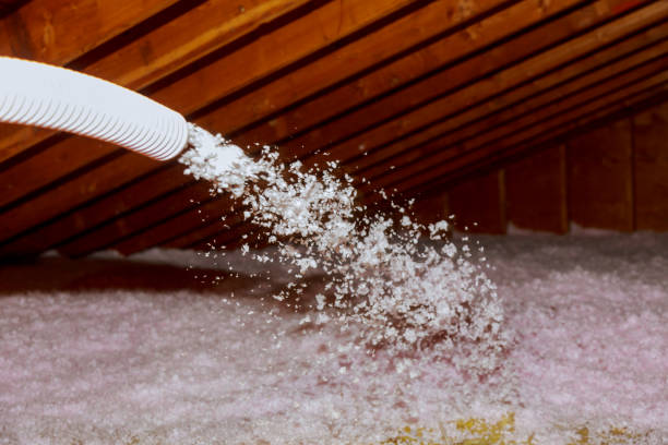 Best Insulation Materials and Products in Vega, TX