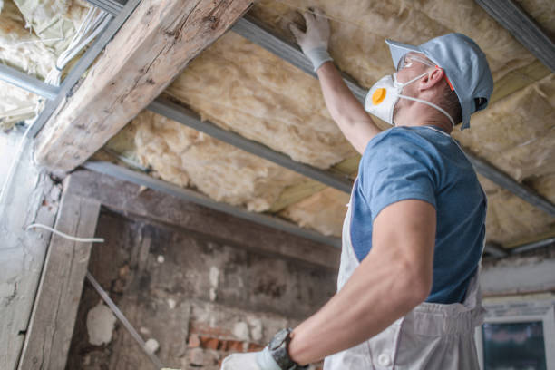 Best Insulation Installation Services in Vega, TX