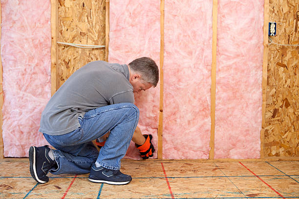 Best Insulation for Specific Applications in Vega, TX